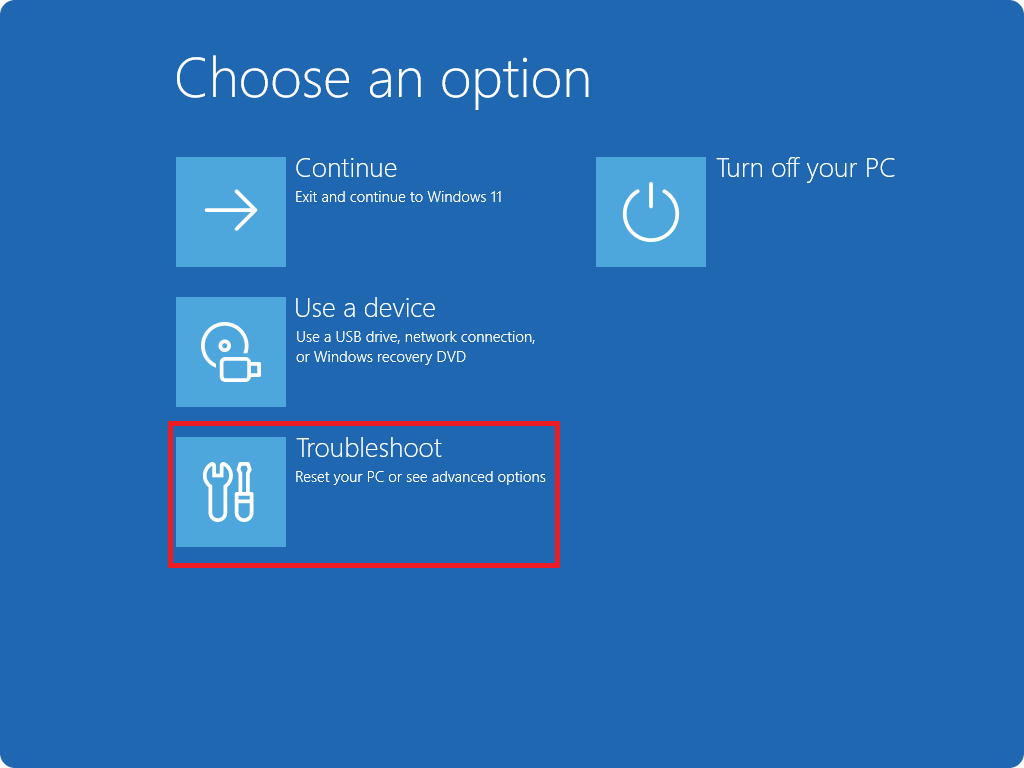 W11options.png