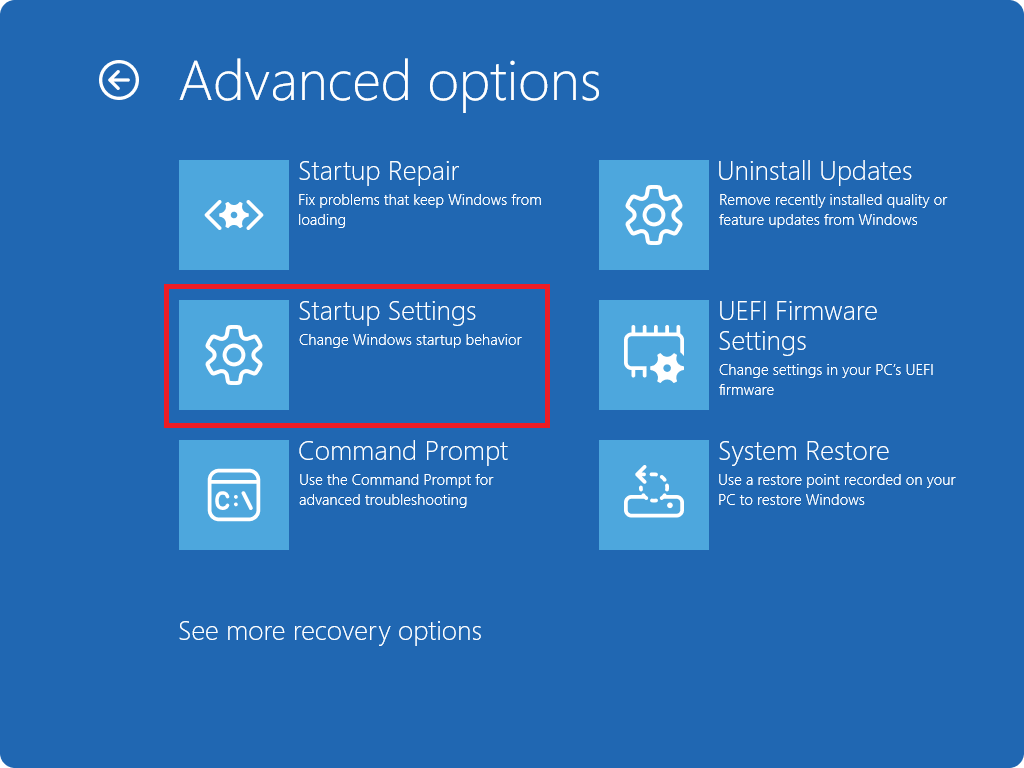 w11advoptions.png